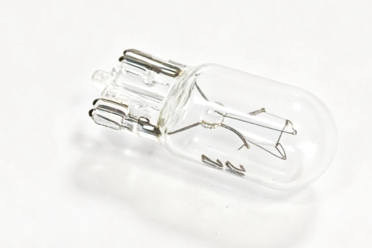 T10 incandescent bulb